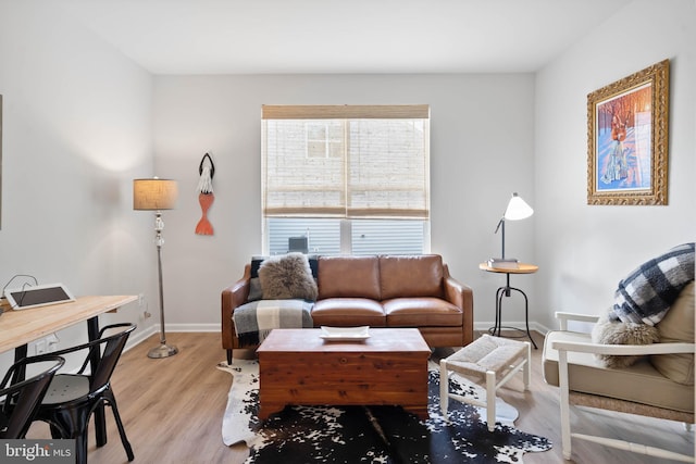 living room featuring light hardwood / wood-style floors