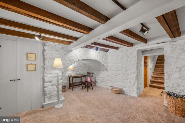 basement featuring light colored carpet