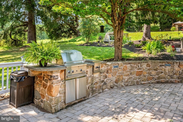 view of patio / terrace featuring exterior kitchen