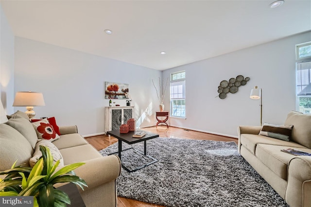 living room featuring light hardwood / wood-style flooring