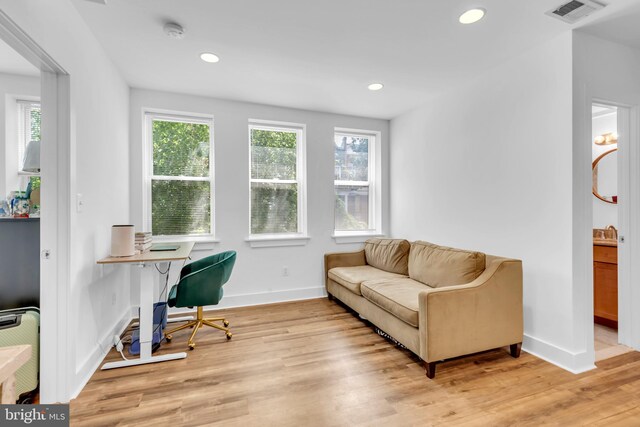 home office featuring light hardwood / wood-style floors and a wealth of natural light