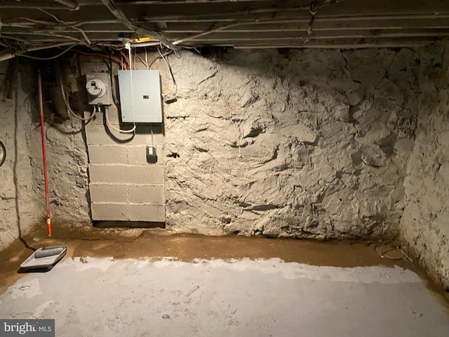 basement featuring electric panel