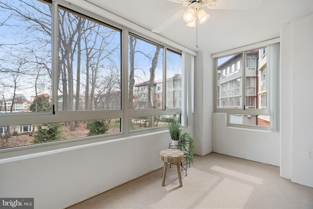 view of sunroom / solarium