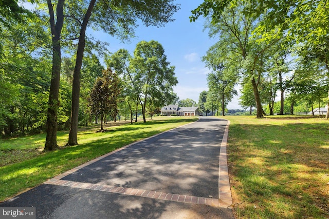 view of community featuring a lawn