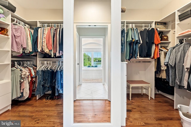 walk in closet with hardwood / wood-style flooring