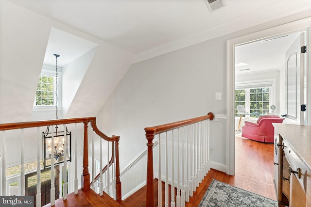 hall featuring a healthy amount of sunlight, hardwood / wood-style floors, ornamental molding, and a chandelier