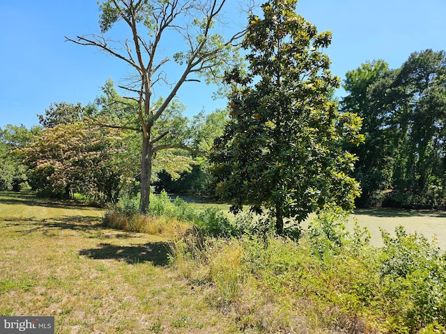 view of landscape