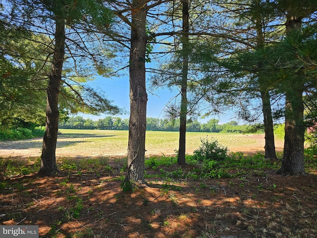 view of yard featuring a rural view