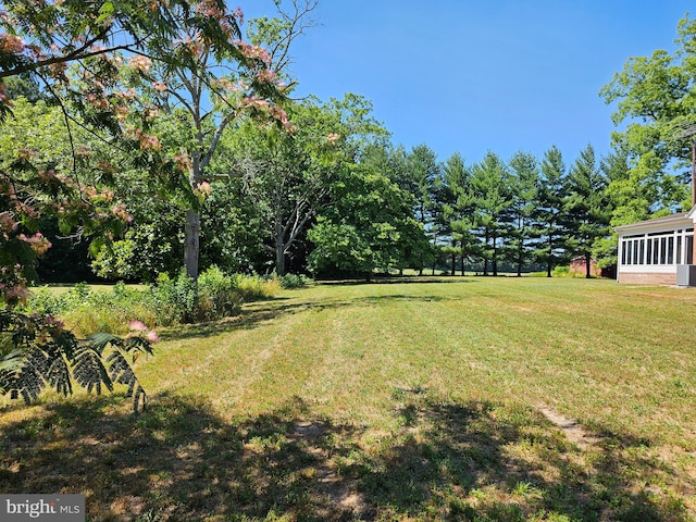 view of yard with a sunroom