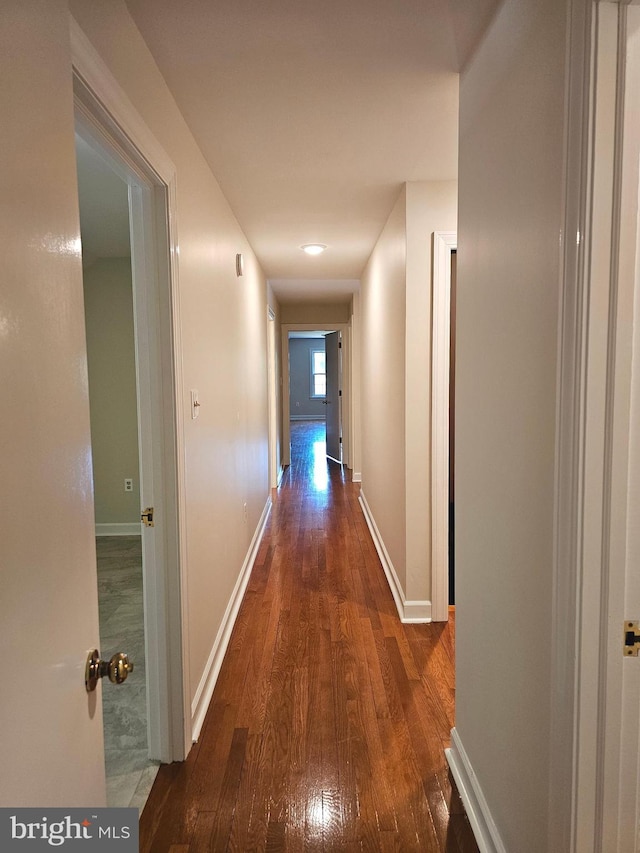 corridor featuring dark hardwood / wood-style floors