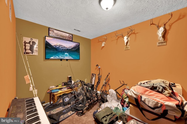 interior space featuring carpet and a textured ceiling