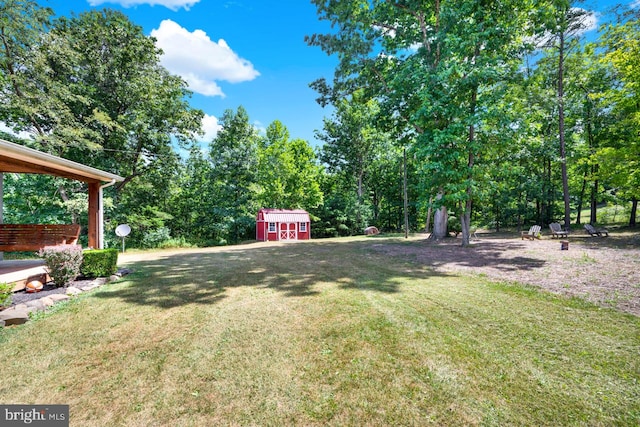 view of yard with a shed