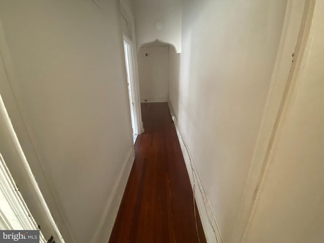 hallway with dark hardwood / wood-style floors