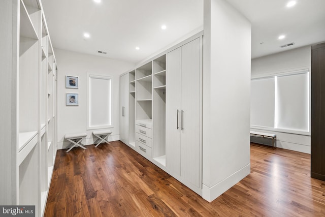 walk in closet featuring dark hardwood / wood-style floors and baseboard heating