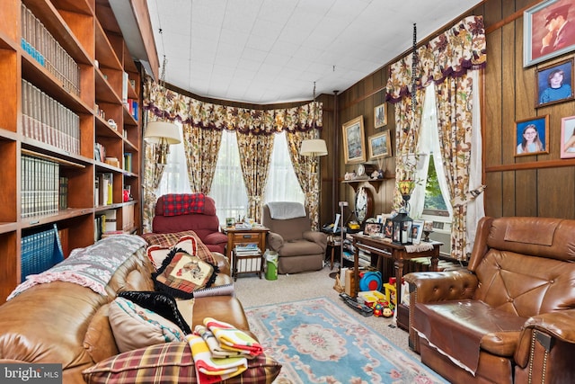 sitting room with wooden walls and carpet floors