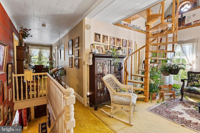 living area with carpet and a healthy amount of sunlight