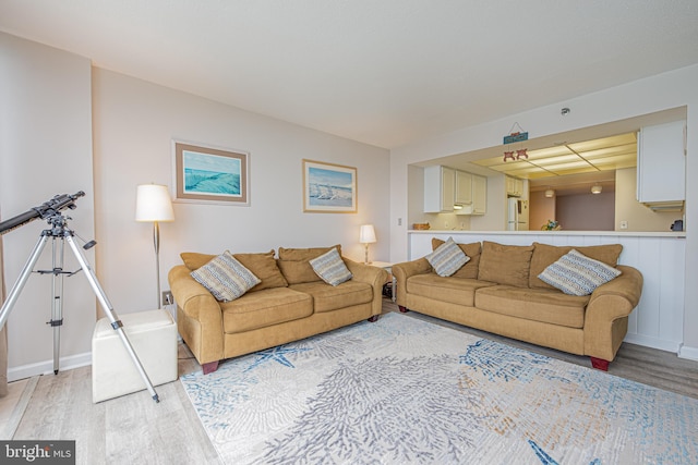 living room featuring light hardwood / wood-style flooring