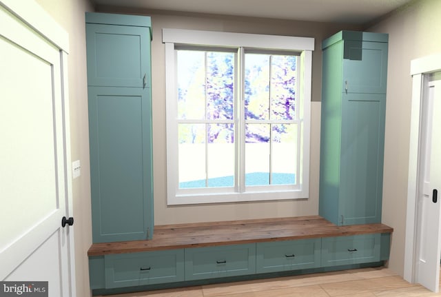 mudroom featuring a wealth of natural light