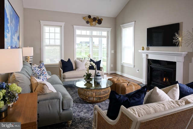 living room featuring wood-type flooring and vaulted ceiling