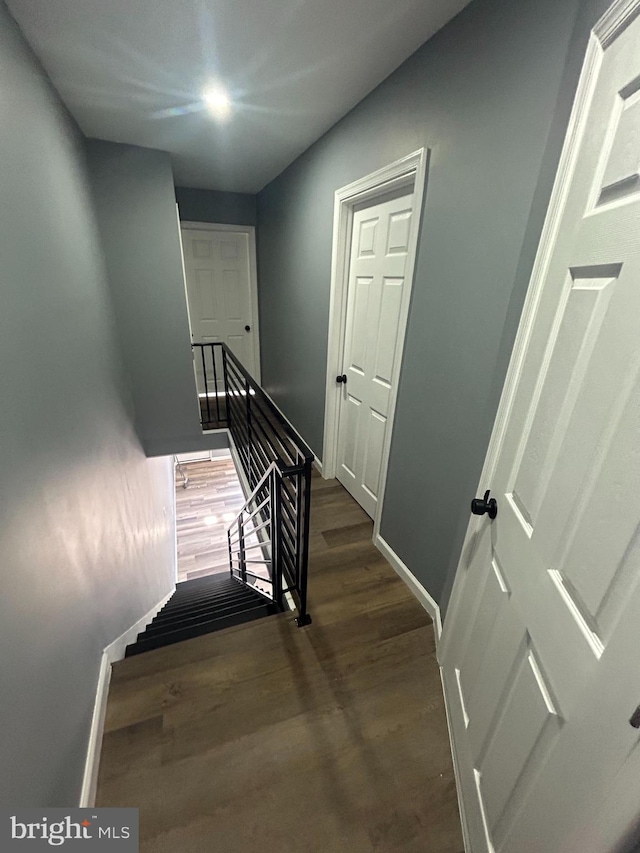 stairway with hardwood / wood-style flooring