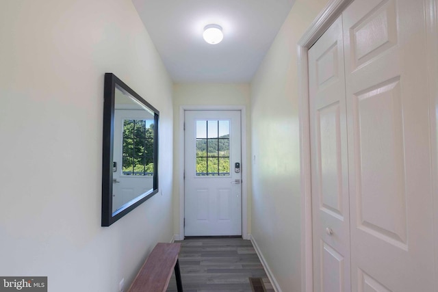 doorway featuring dark hardwood / wood-style flooring