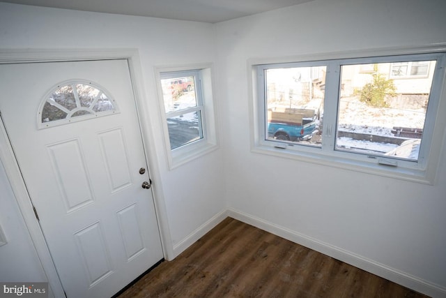 entrance foyer with dark hardwood / wood-style flooring