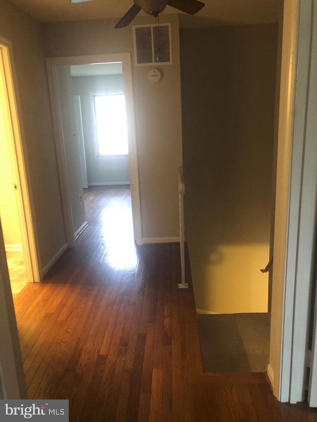 hallway with dark wood-type flooring