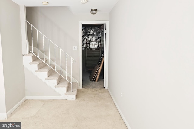 stairs with carpet flooring