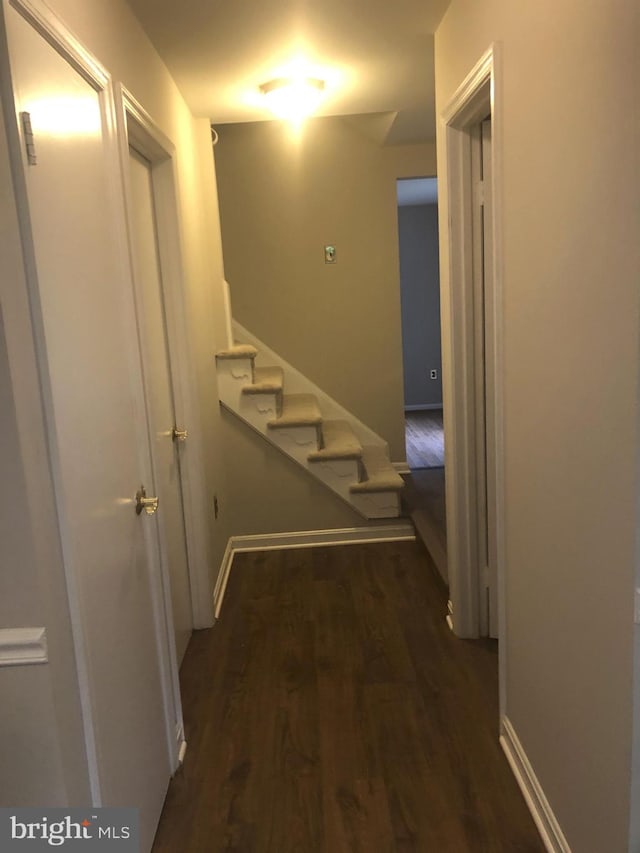 corridor with dark wood-type flooring