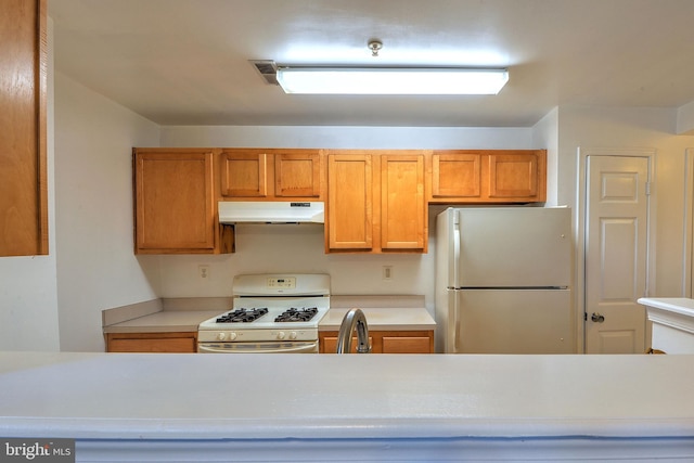 kitchen with fridge, sink, and white range with gas stovetop