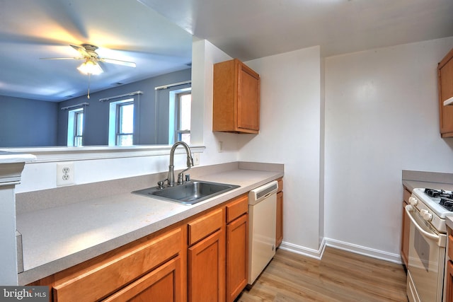 kitchen featuring ceiling fan, sink, white appliances, and light hardwood / wood-style flooring