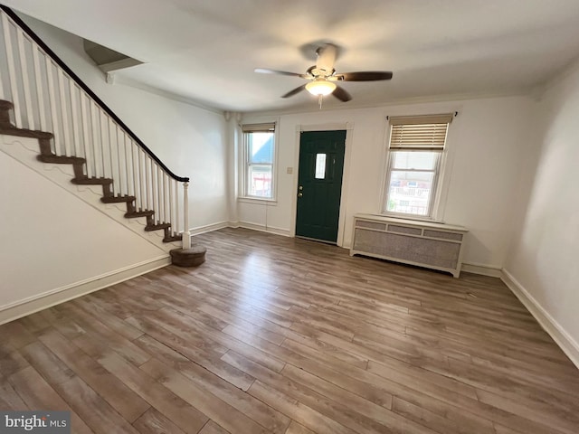 entrance foyer with ceiling fan, wood-type flooring, and a wealth of natural light