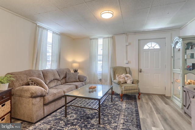 living room with hardwood / wood-style floors