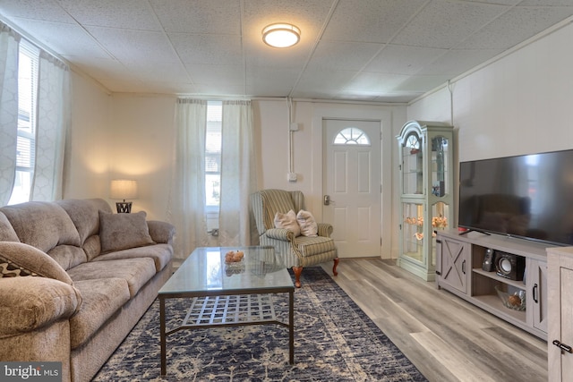 living room featuring wood-type flooring