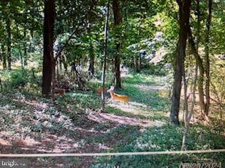 REAROF399 Beck Mill Rd, Hanover PA, 17331 land for sale