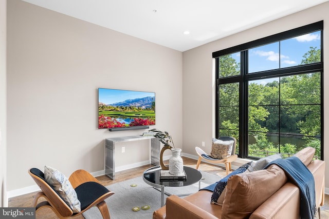 living room featuring light hardwood / wood-style floors