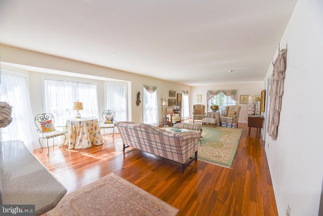 living room featuring dark wood-type flooring