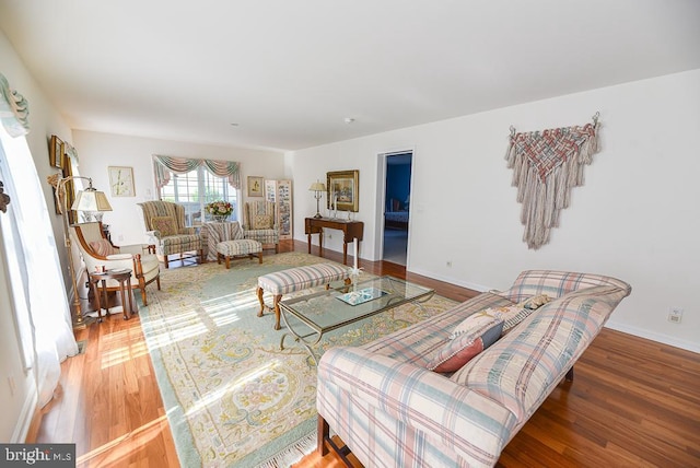 living room featuring hardwood / wood-style flooring