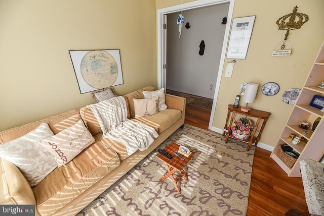 living room featuring dark hardwood / wood-style flooring