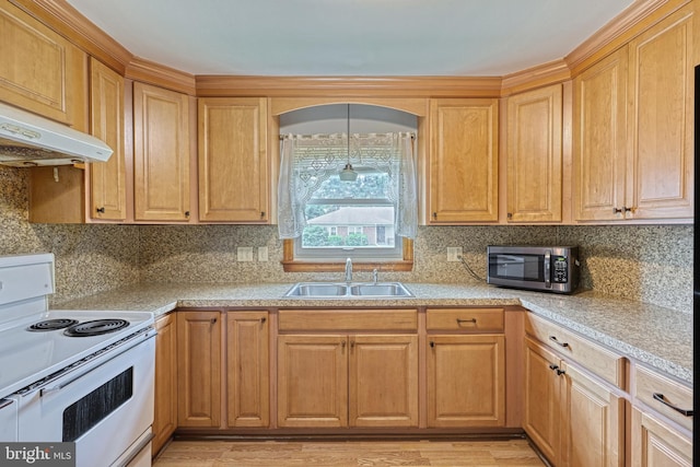 kitchen featuring sink, tasteful backsplash, light hardwood / wood-style flooring, electric stove, and exhaust hood