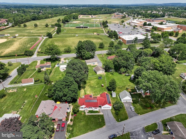 bird's eye view