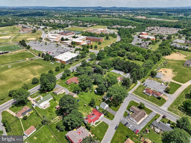 drone / aerial view