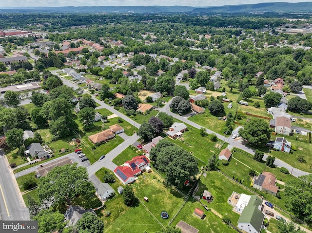 bird's eye view