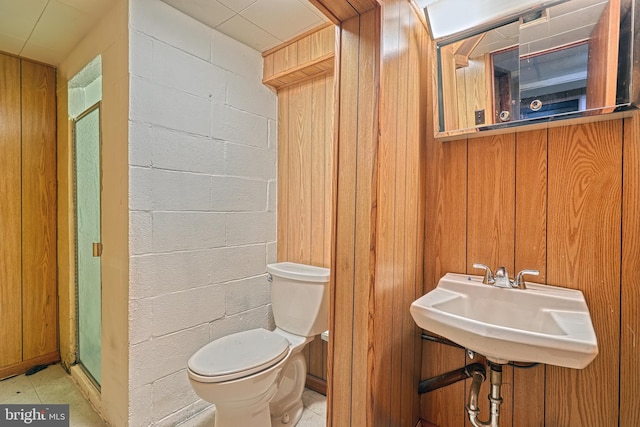 bathroom with wooden walls and toilet