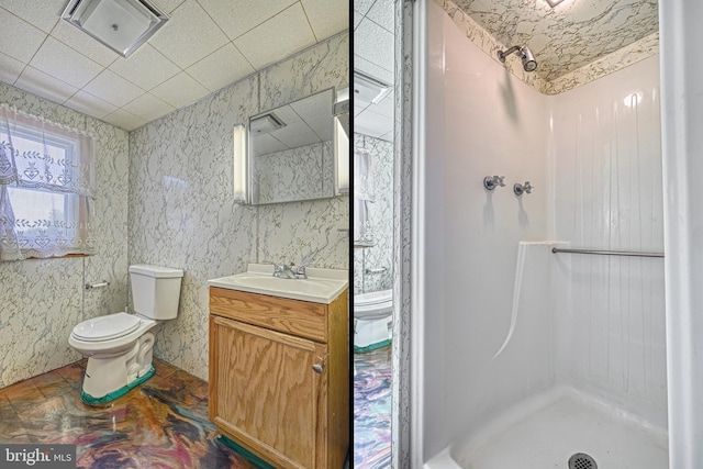 bathroom with vanity, toilet, and a shower