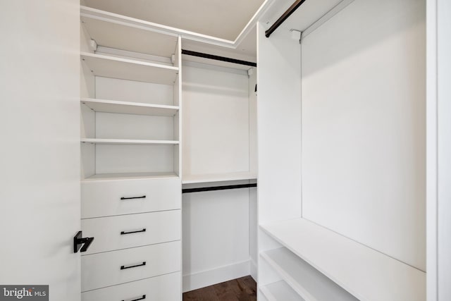 spacious closet featuring dark hardwood / wood-style floors