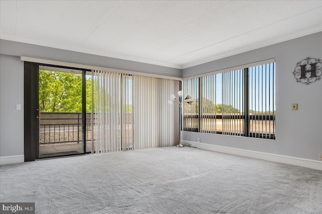 carpeted empty room with plenty of natural light and ornamental molding