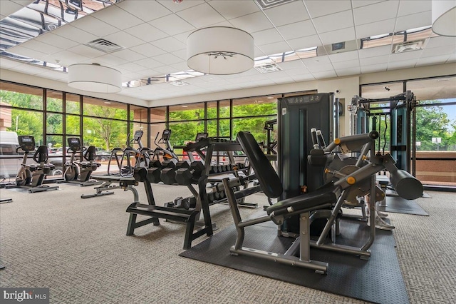 workout area with carpet and a paneled ceiling