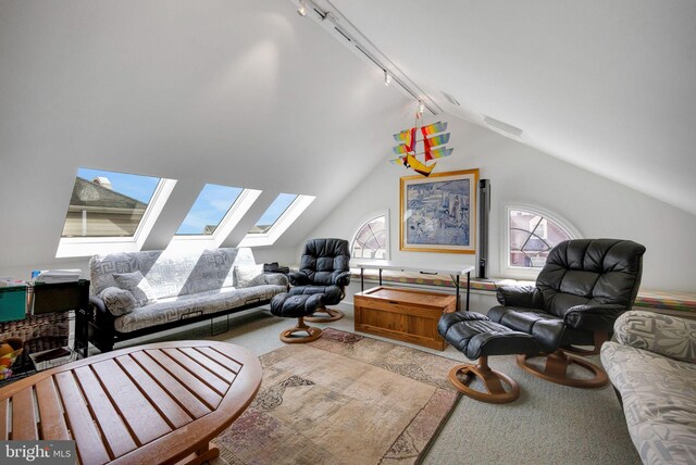 spacious closet with lofted ceiling and carpet