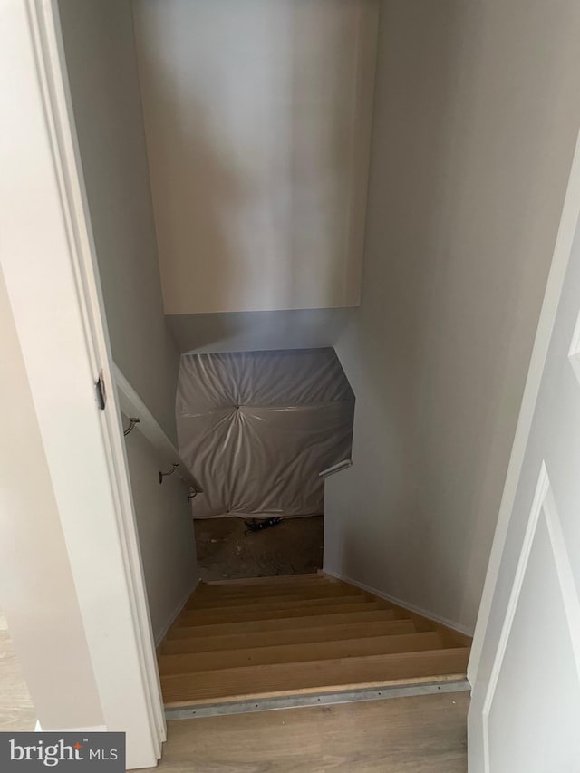 stairway featuring hardwood / wood-style floors